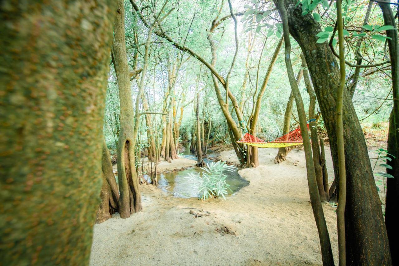 Kayjay Wild Wilpattu Hotel Exterior foto