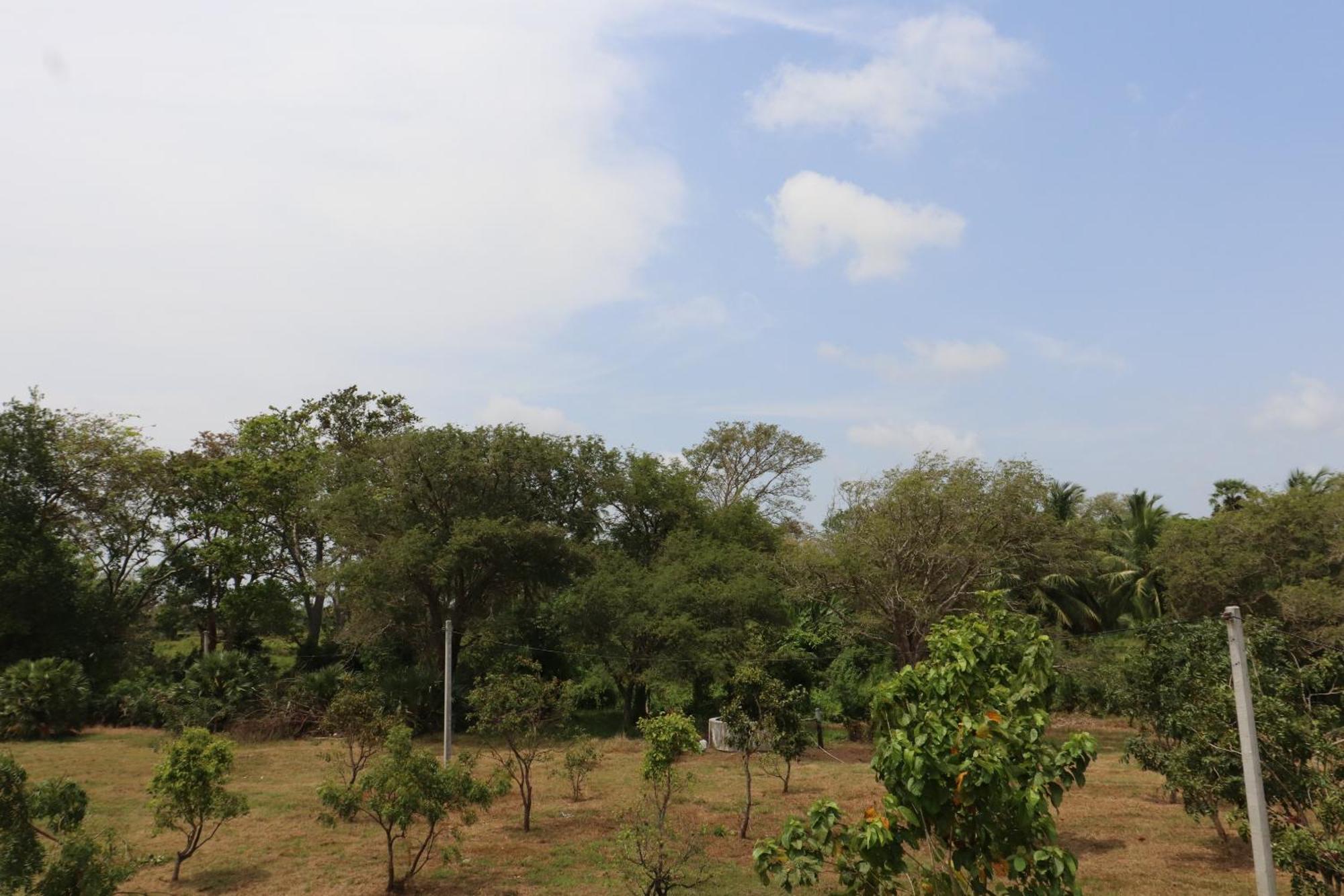 Kayjay Wild Wilpattu Hotel Exterior foto