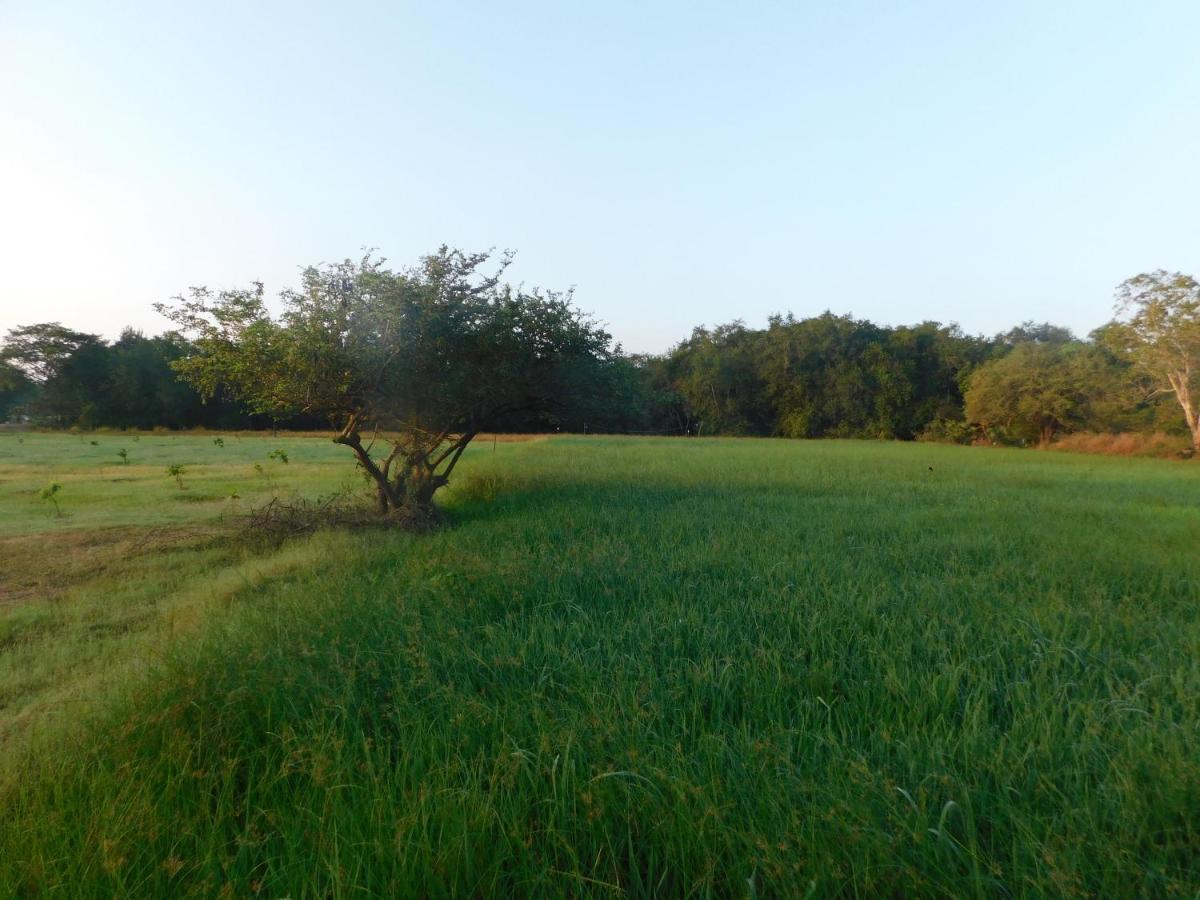 Kayjay Wild Wilpattu Hotel Exterior foto